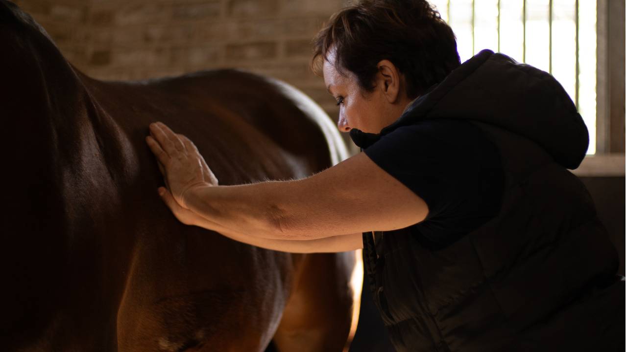 paardenmassage