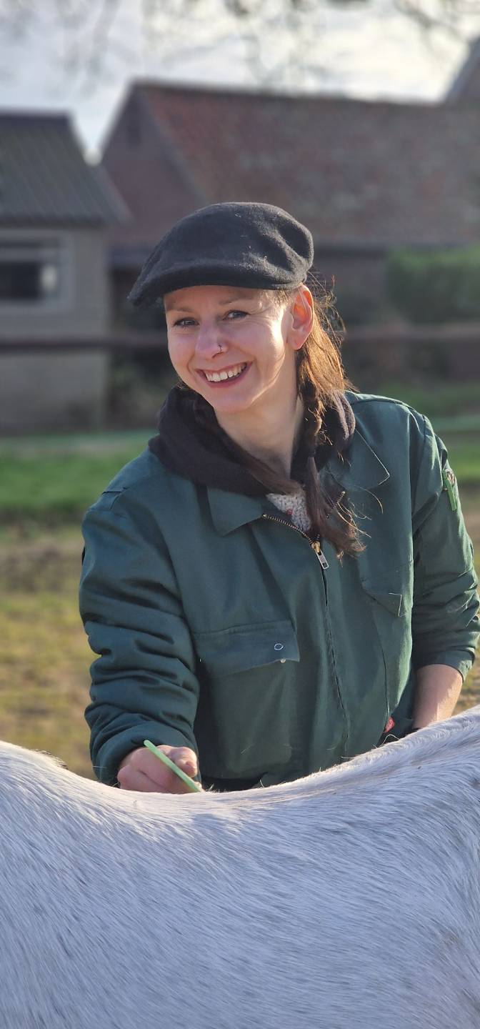 Licentie 4 MD Personal Equine Trainer (opl-boog)