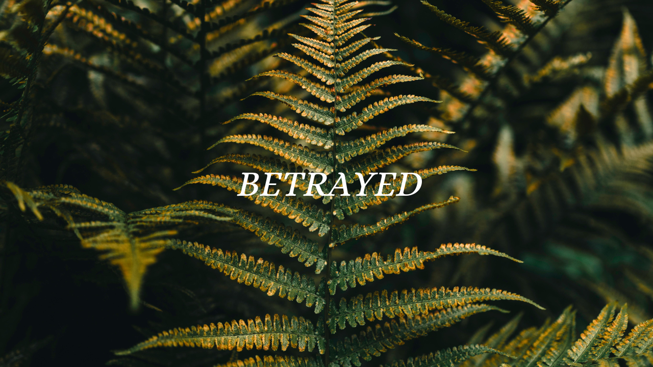 White lettering 'to the double crossed souls' on the photograph of a fern in the background