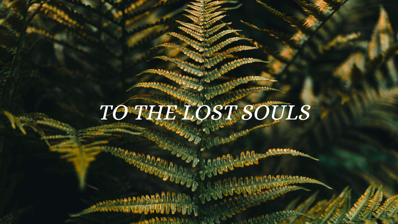 White lettering 'to the lost souls' on the photograph of a fern in the background