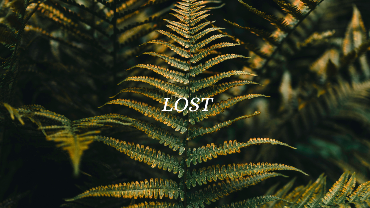 White lettering 'to the lost souls' on the photograph of a fern in the background