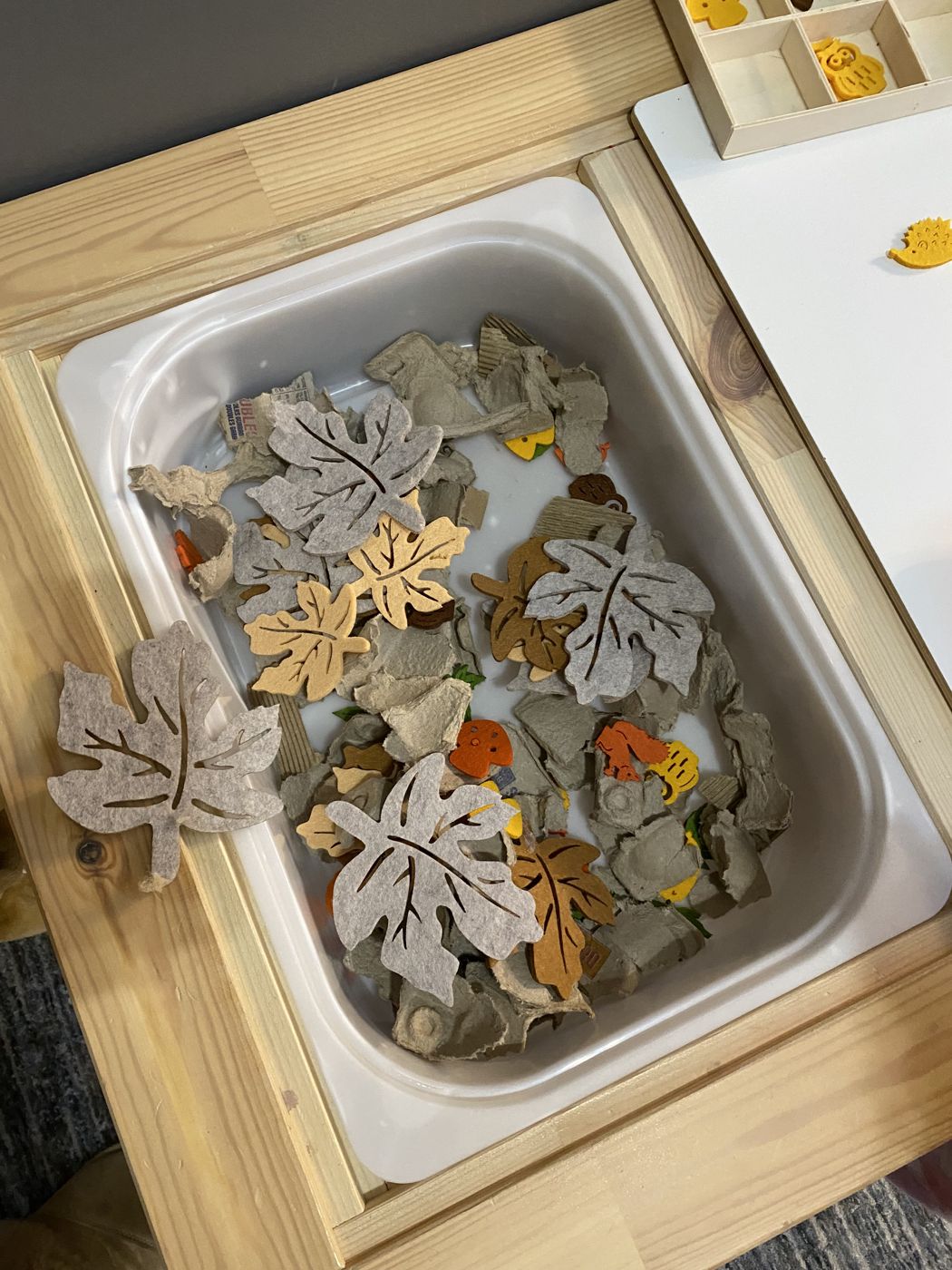 A fall sensory bin filled with felt maple leaves, torn egg cartons and little felt acorns and mushrooms