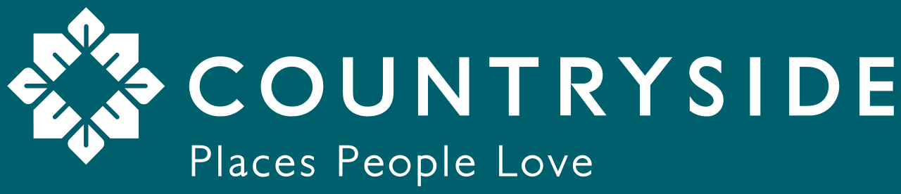 IT Leaders client for IT Professional Training  /countryside