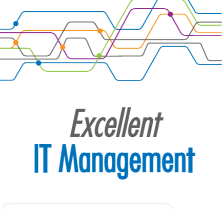 On-line IT management by IT Leaders