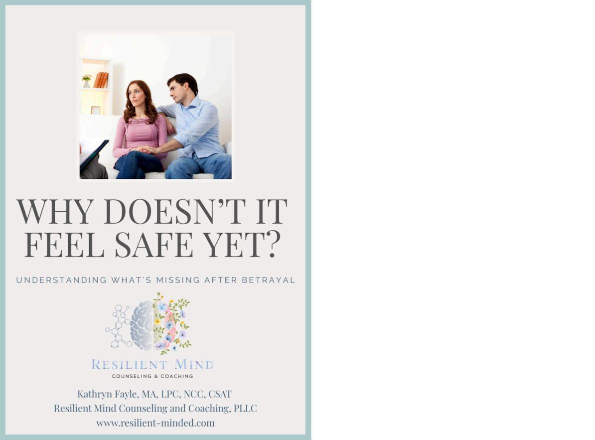 Cover of Why Doesn’t It Feel Safe Yet?