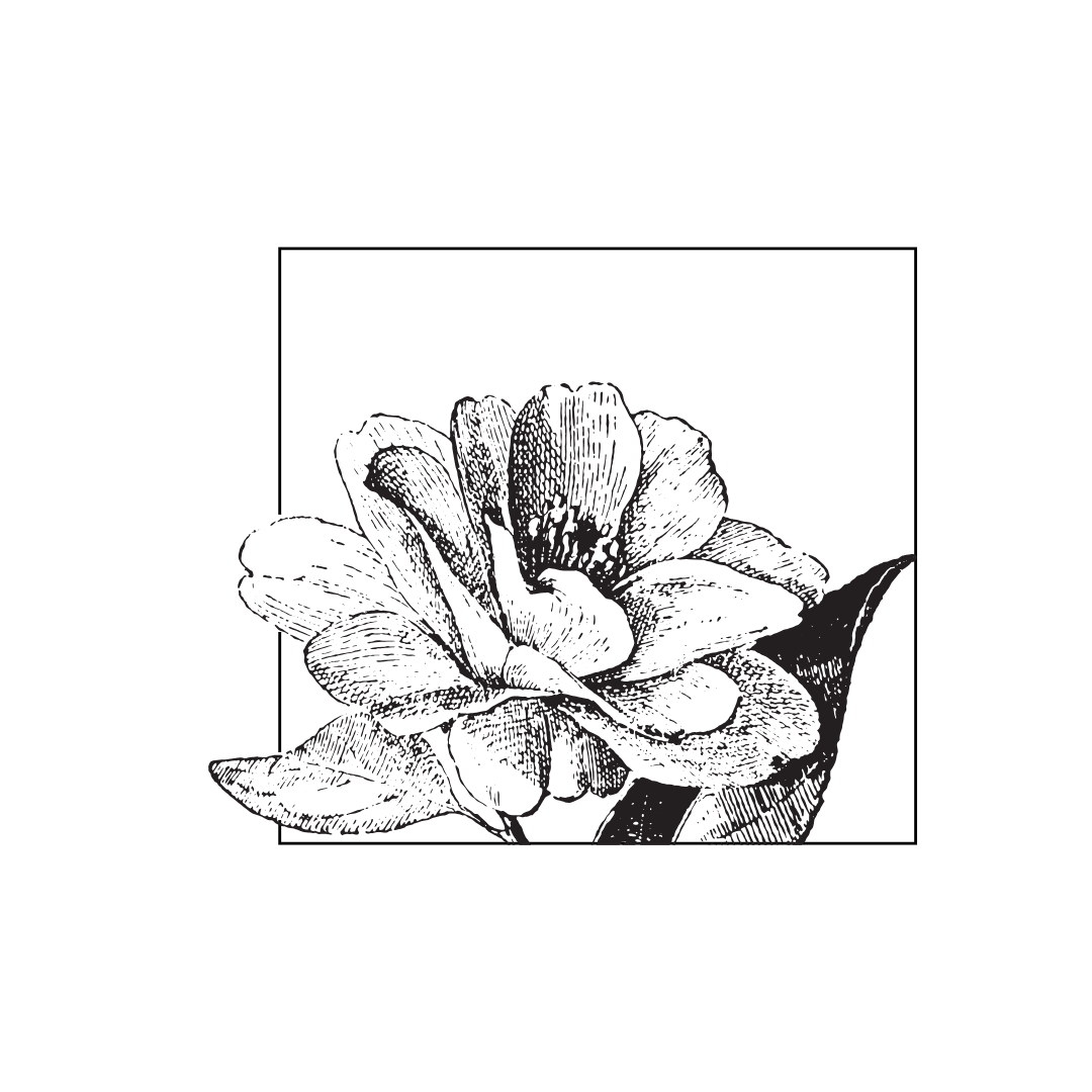 Header Logo