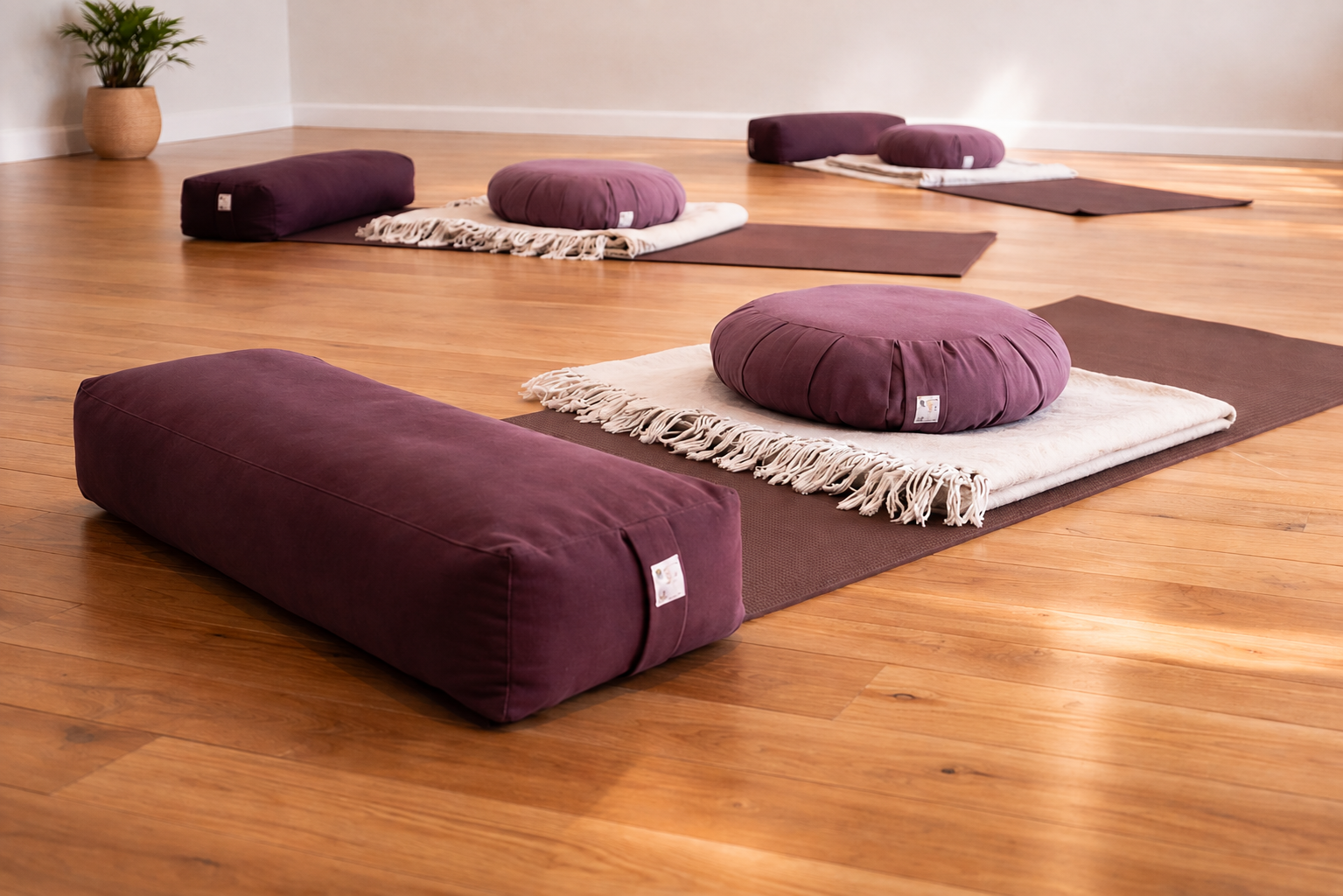 Parents in a Nona Prenatal Yoga and Support class