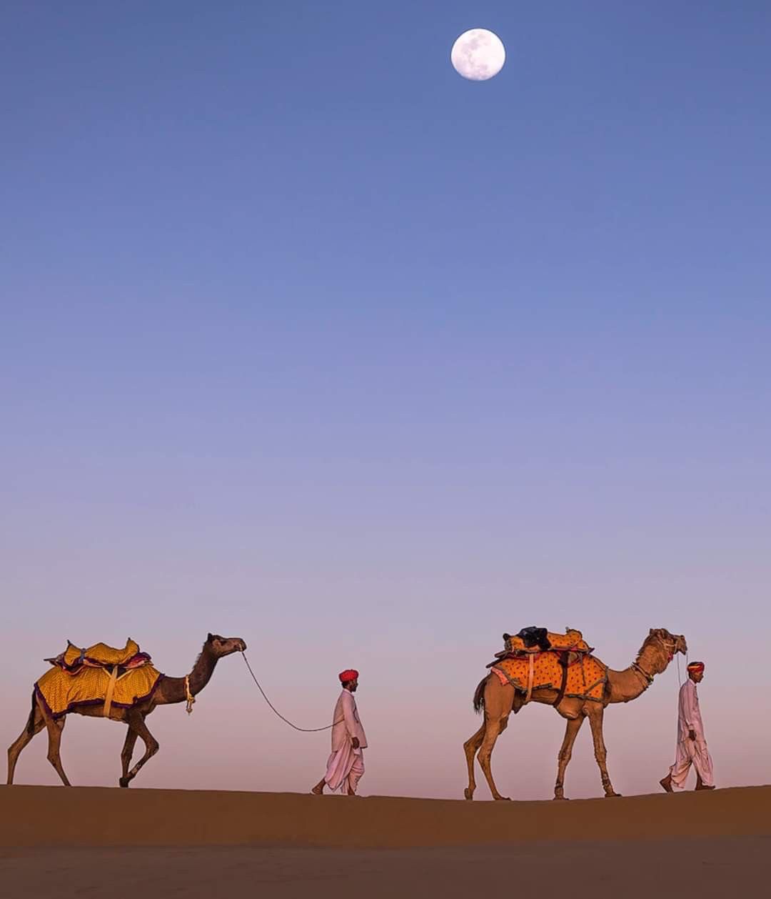Rajasthan - photo 5
