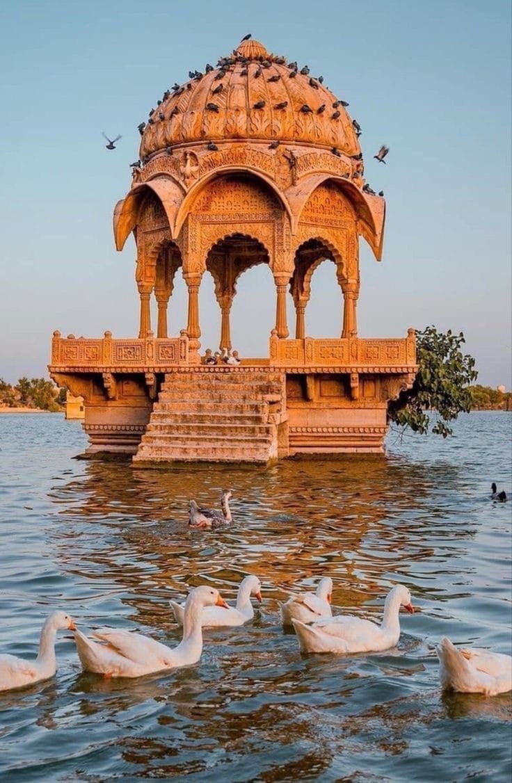 Rajasthan - photo 3