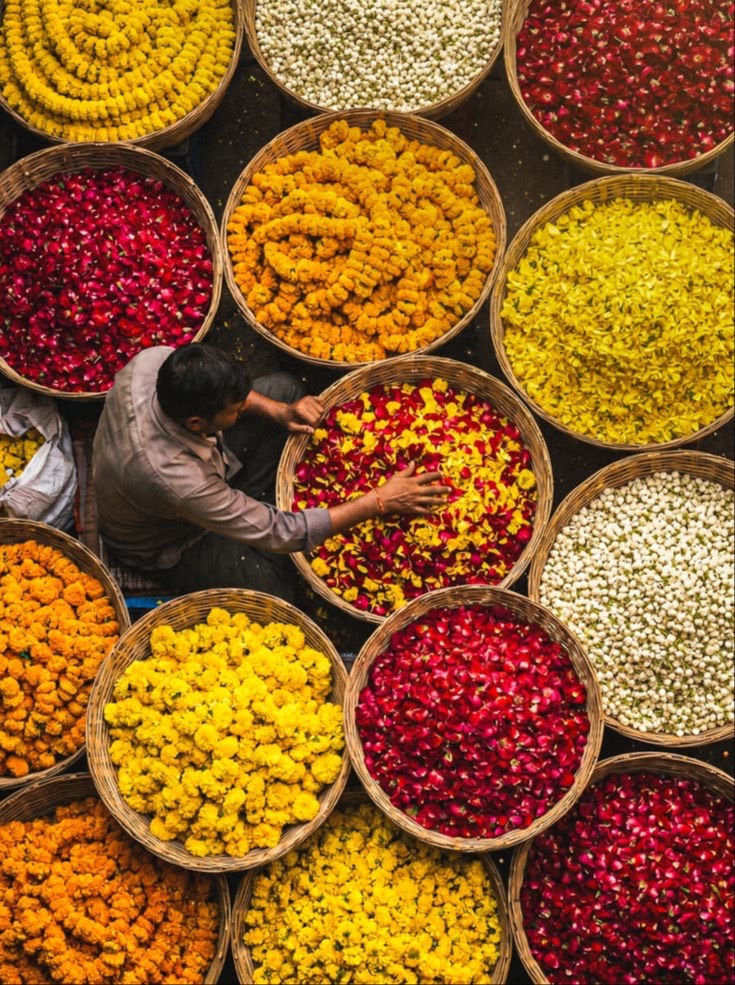 Rajasthan - photo 4