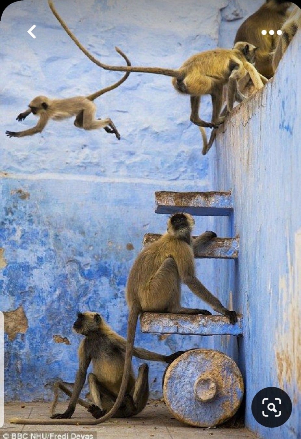 Rajasthan - photo 3