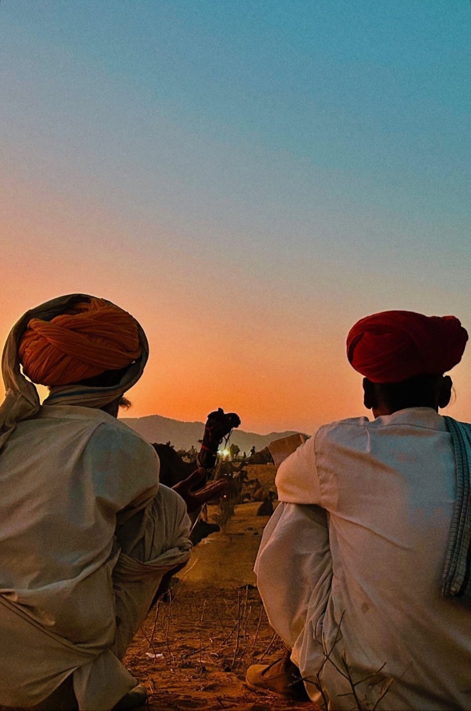 Rajasthan - photo 3