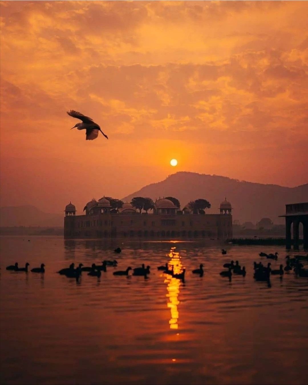 Rajasthan - photo 1