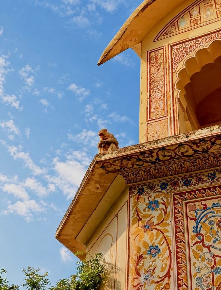 Rajasthan - photo 4
