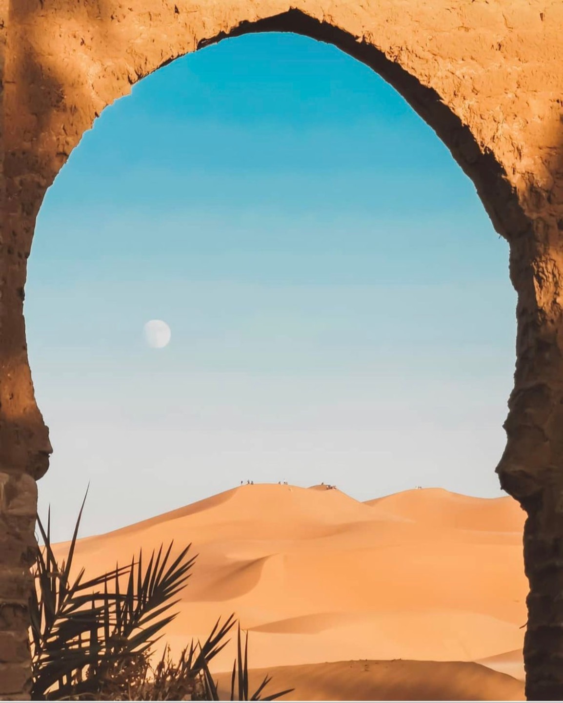 Rajasthan - photo 1