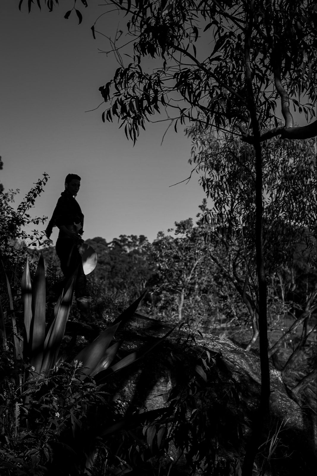 Video Poster Image