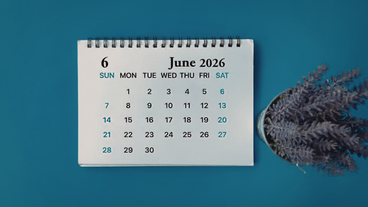 6 months into 2026 and only half the year is left in business 