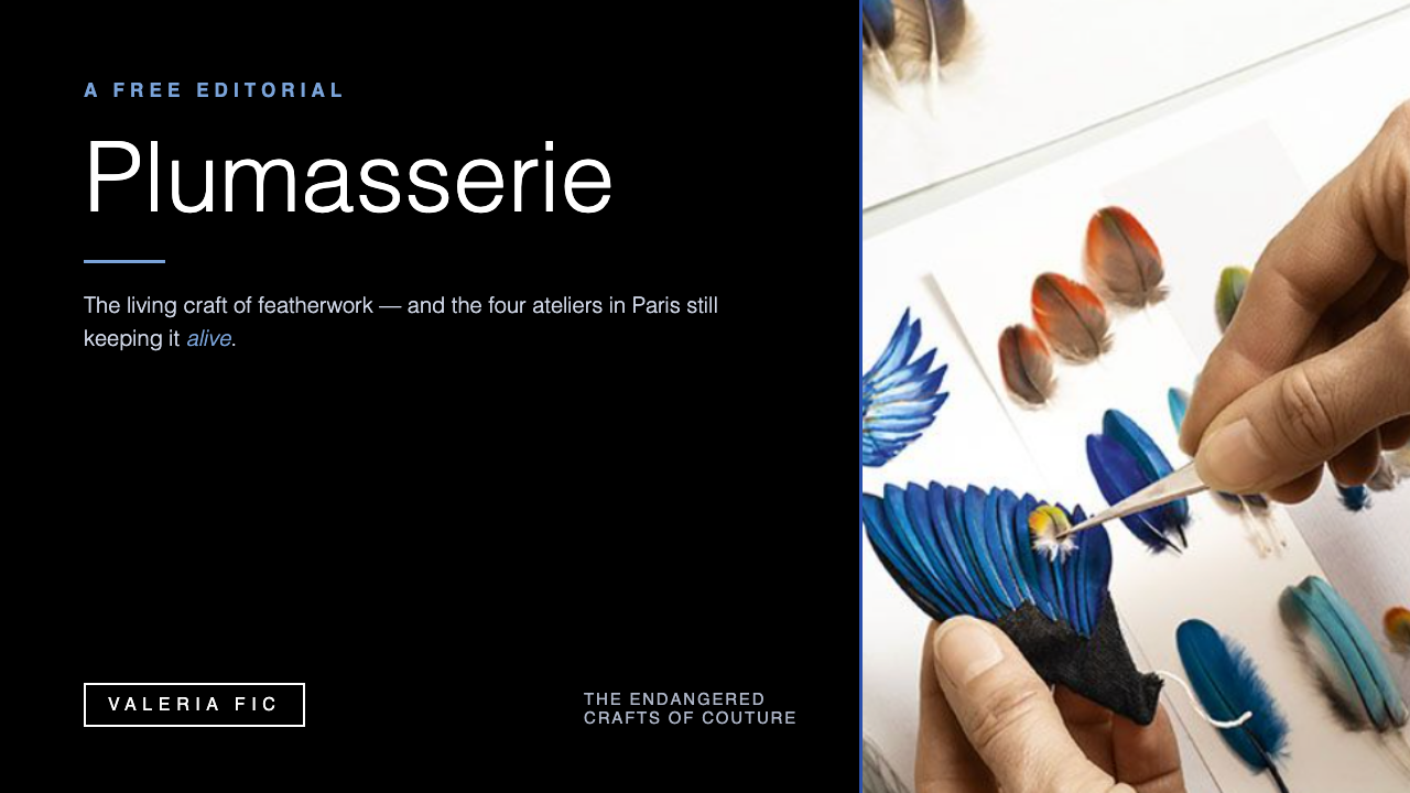 Plumasserie, the living craft of featherwork