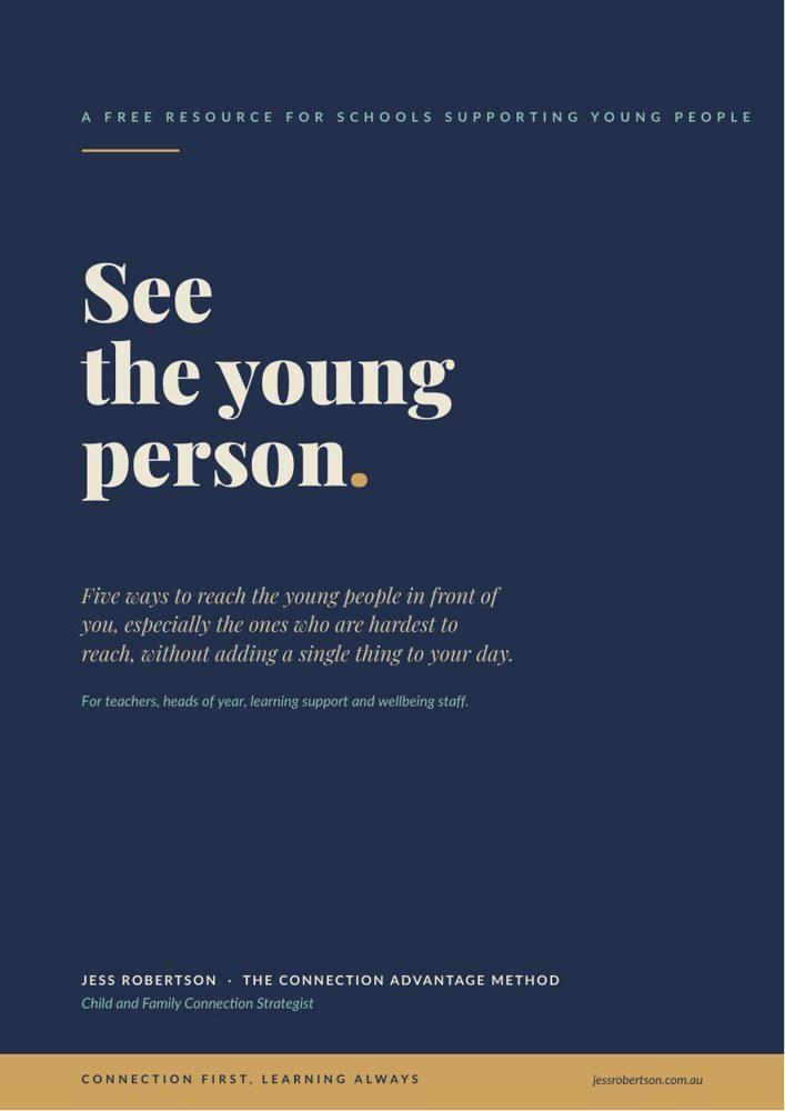 Cover of See the Young Person: Secondary Schools