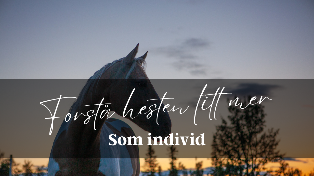Som individ
