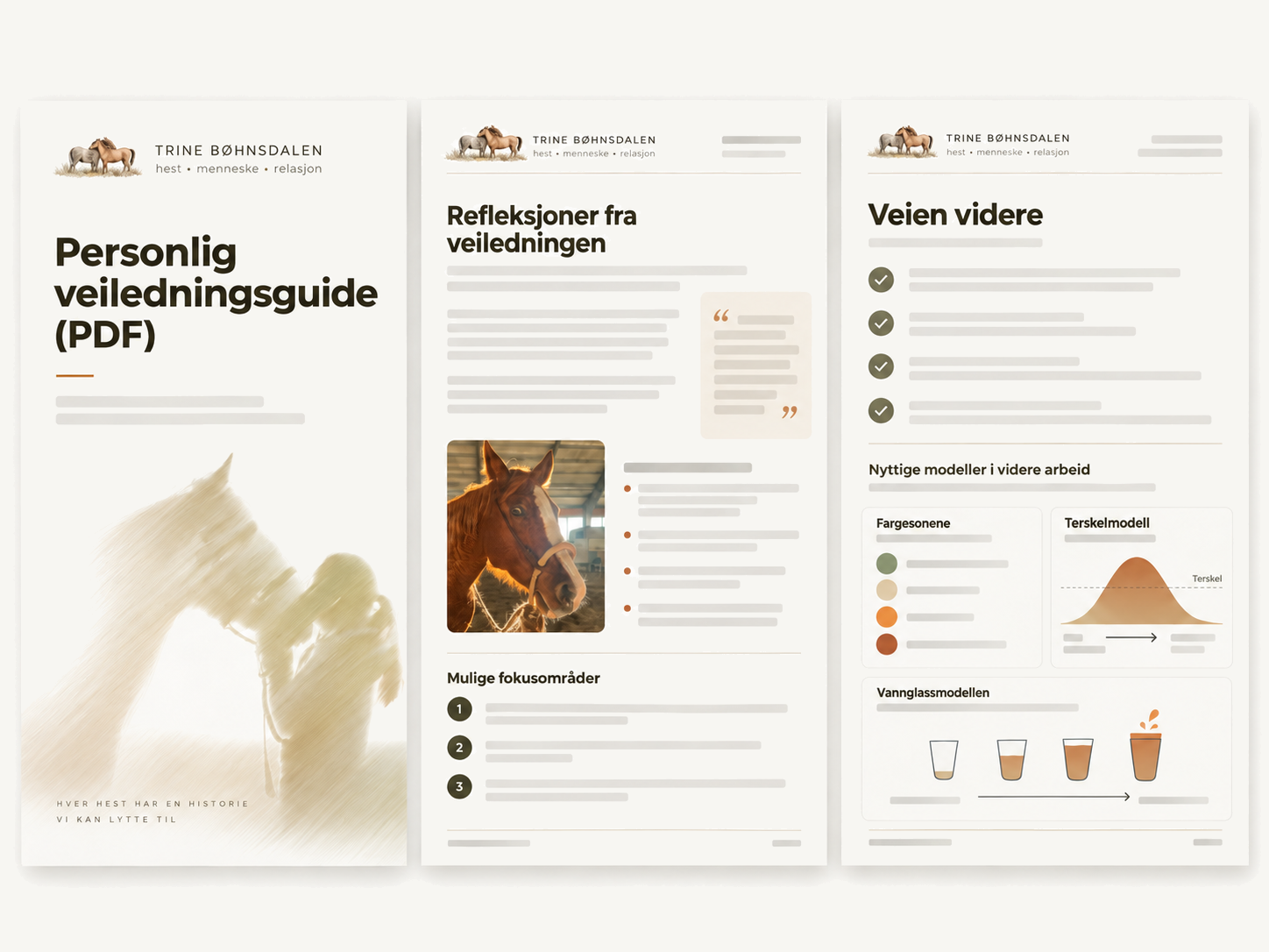 Eksempel på personlig veiledningsguide