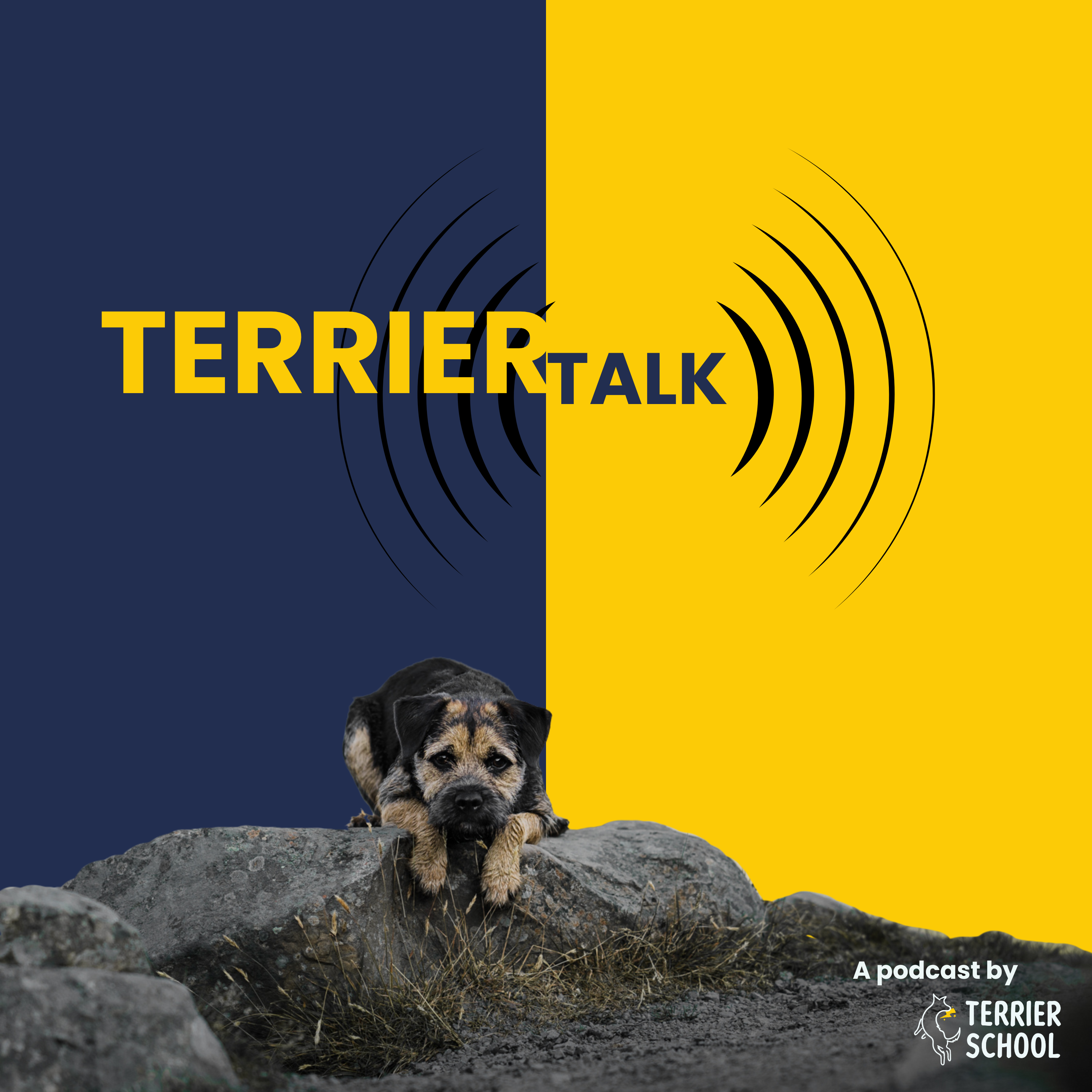 Terrier Talk