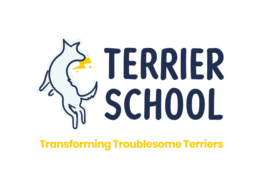 Header Logo
