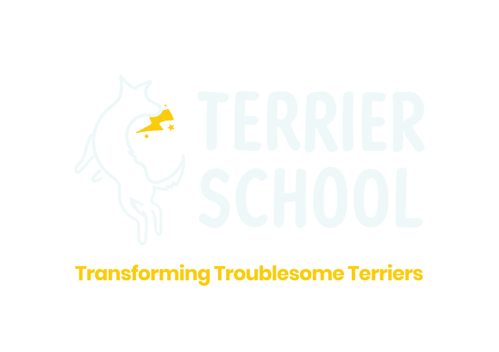 Header Logo
