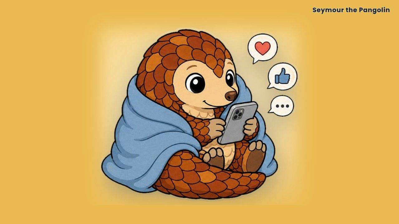 Seymour the Pangolin wrapped in a blanket, commenting on a phone, for LinkedIn tips for job seekers who hate posting