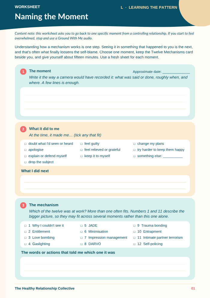 Naming the Moment worksheet