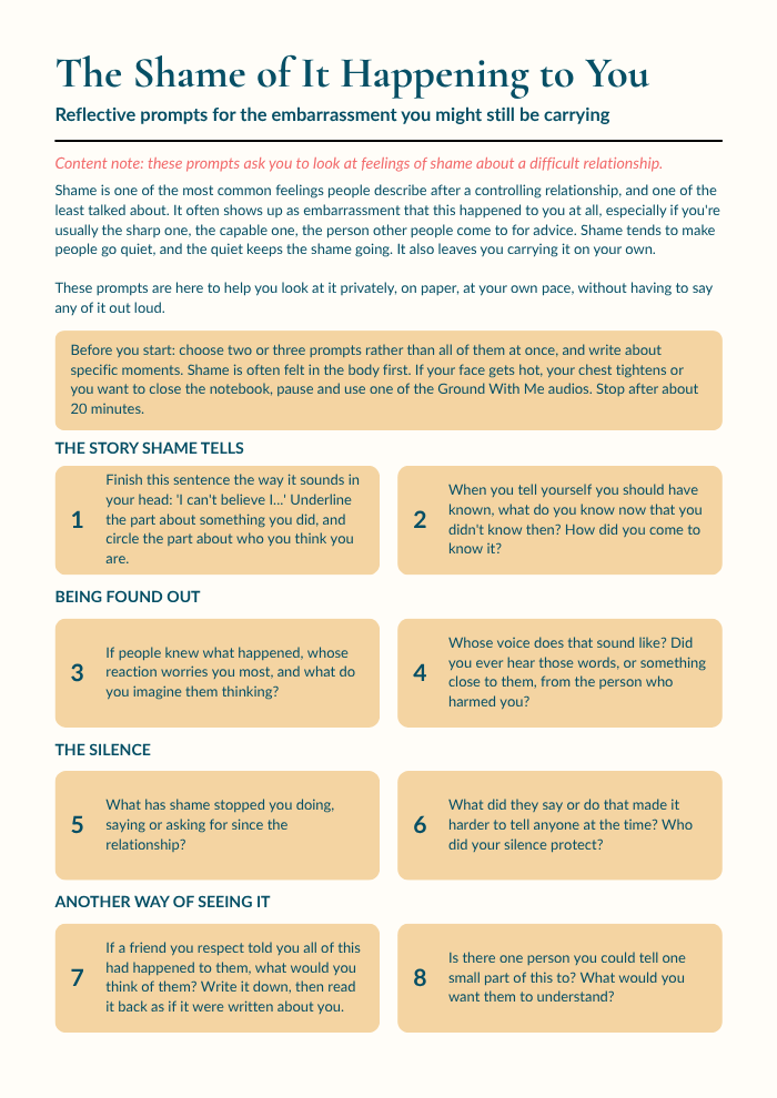 The Shame of It Happening to You reflective prompts