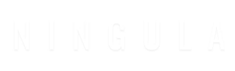 Footer Logo