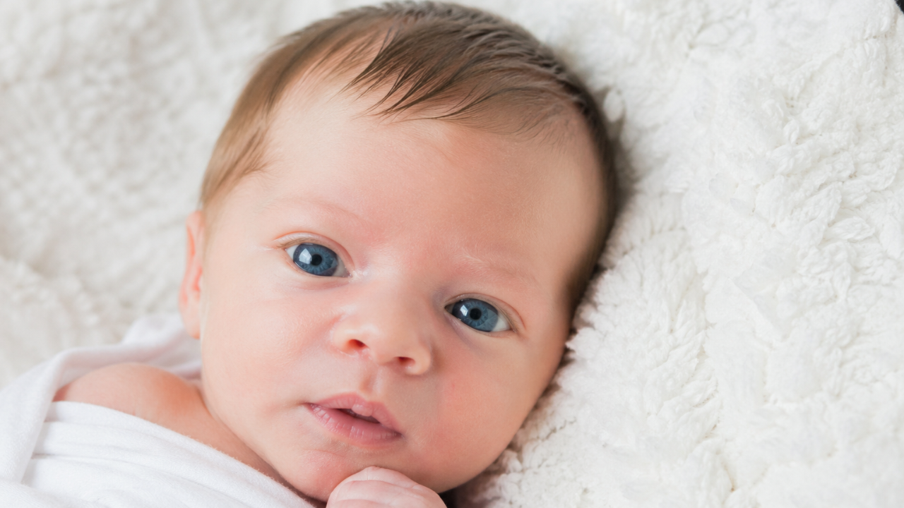 A newborn baby with blue eyes and light brown hair lies on a white fluffy blanket, swaddled in a wrap, with one tiny hand near their chin.