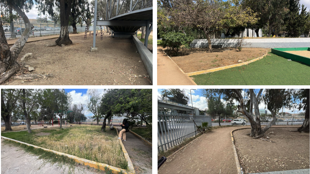 Unidad Deportiva CREA en Tijuana, Baja California será reforestada por Ases y UPS