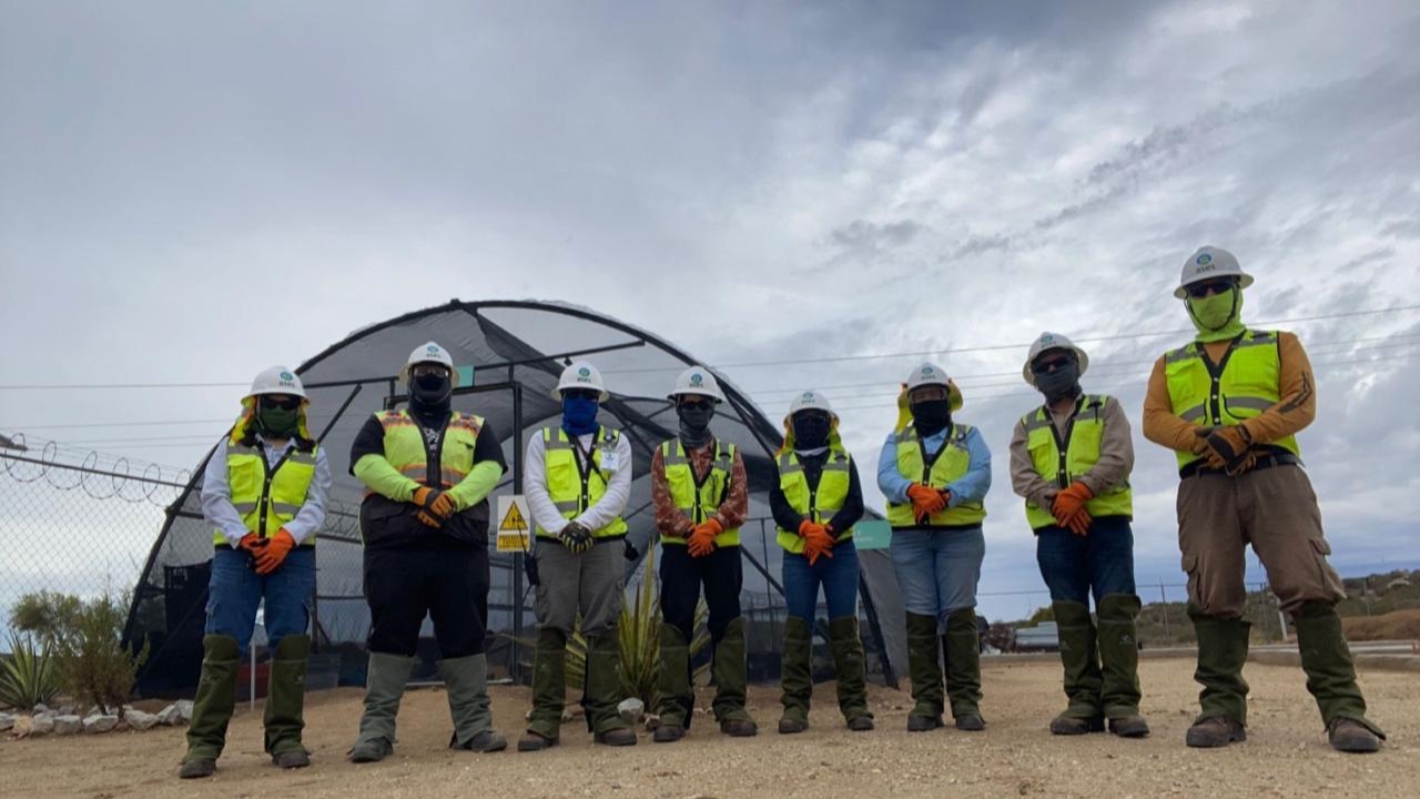 Brigada de mitigación ambiental