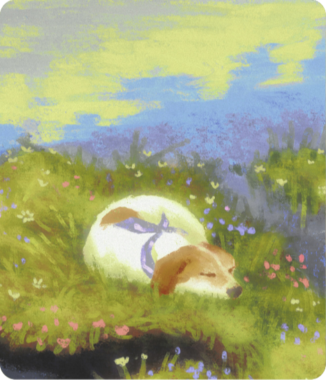 Wallpaper preview: dog asleep on an ivy windowsill