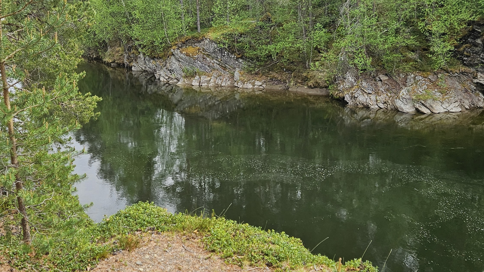 Torill i naturen