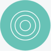 Circles within circles icon