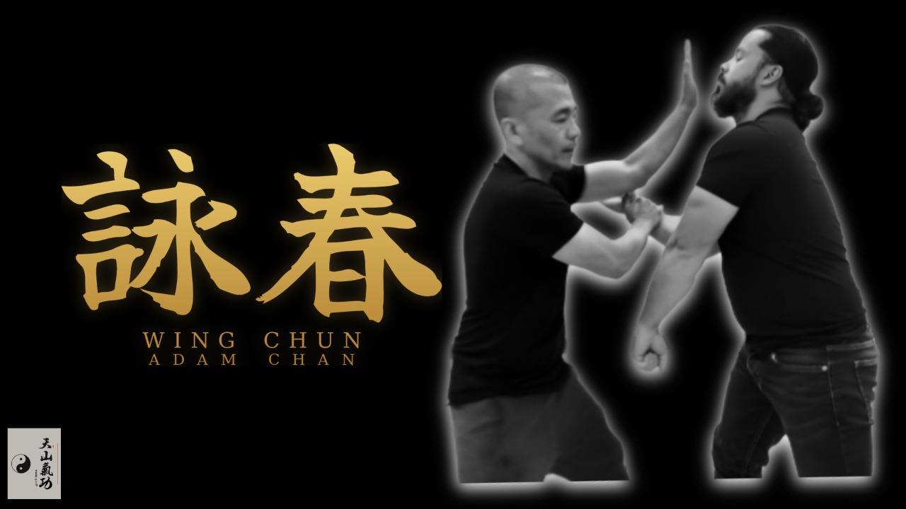 Welcome &mdash; Sifu Adam Chan