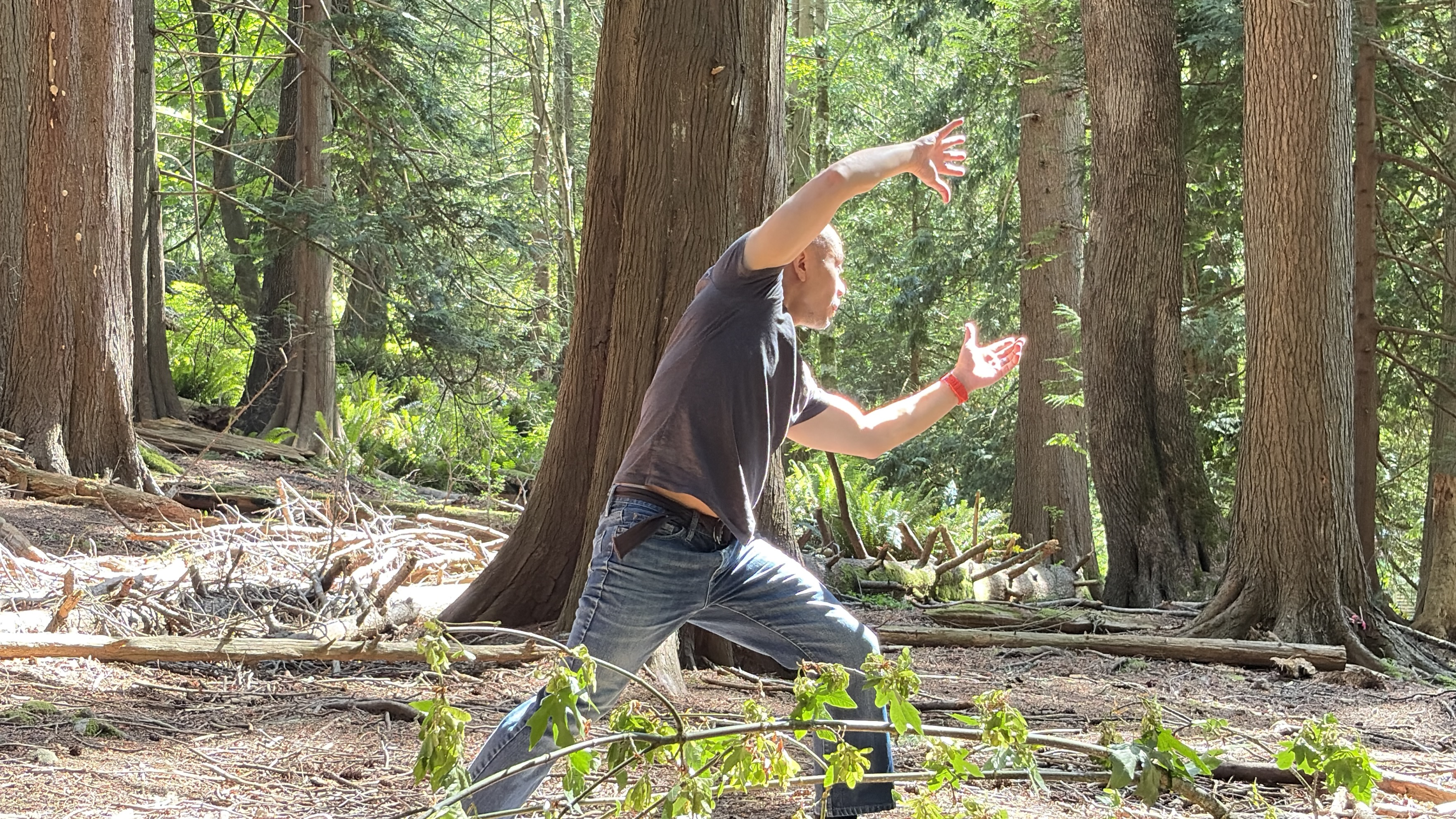 Dynamic flowing lunge