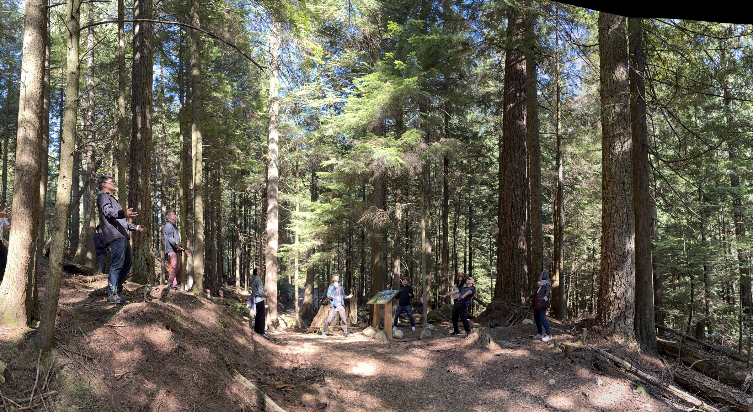 Adam Chan Taoist Qi Gong Retreat, September 2026 - photo 5