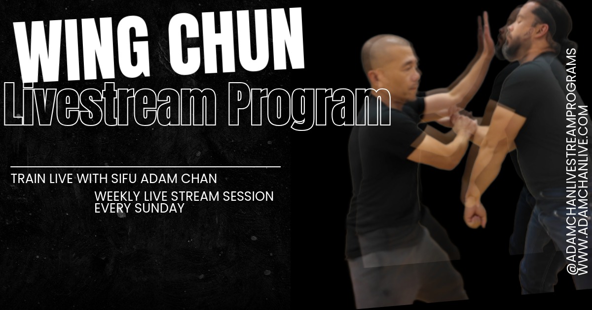 Wing Chun Livestream Program — Coming Soon