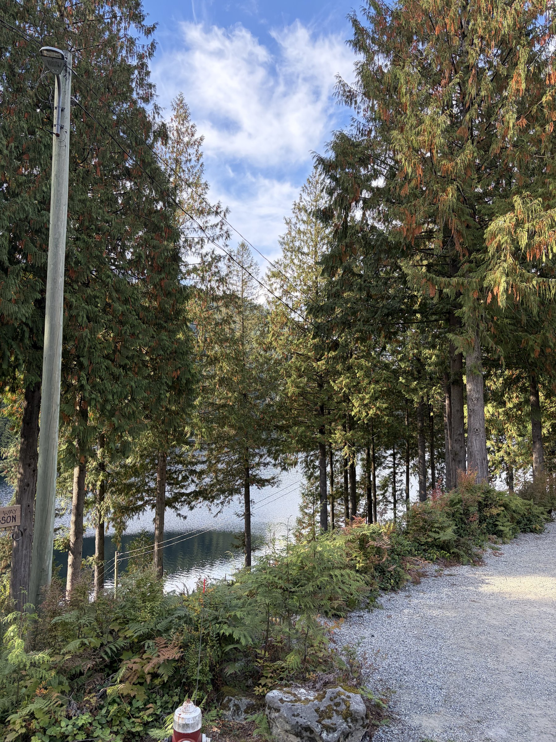 Adam Chan Taoist Qi Gong Retreat, September 2026 - photo 17
