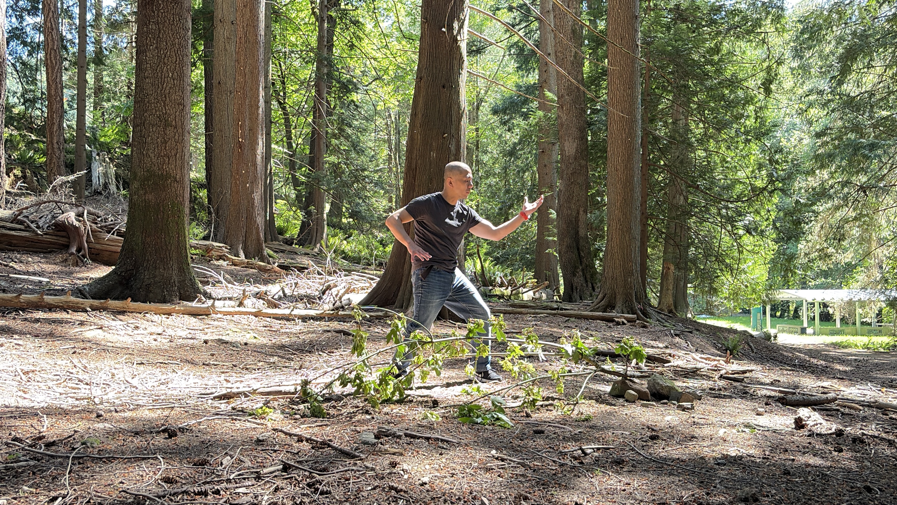 Walking through forest practice