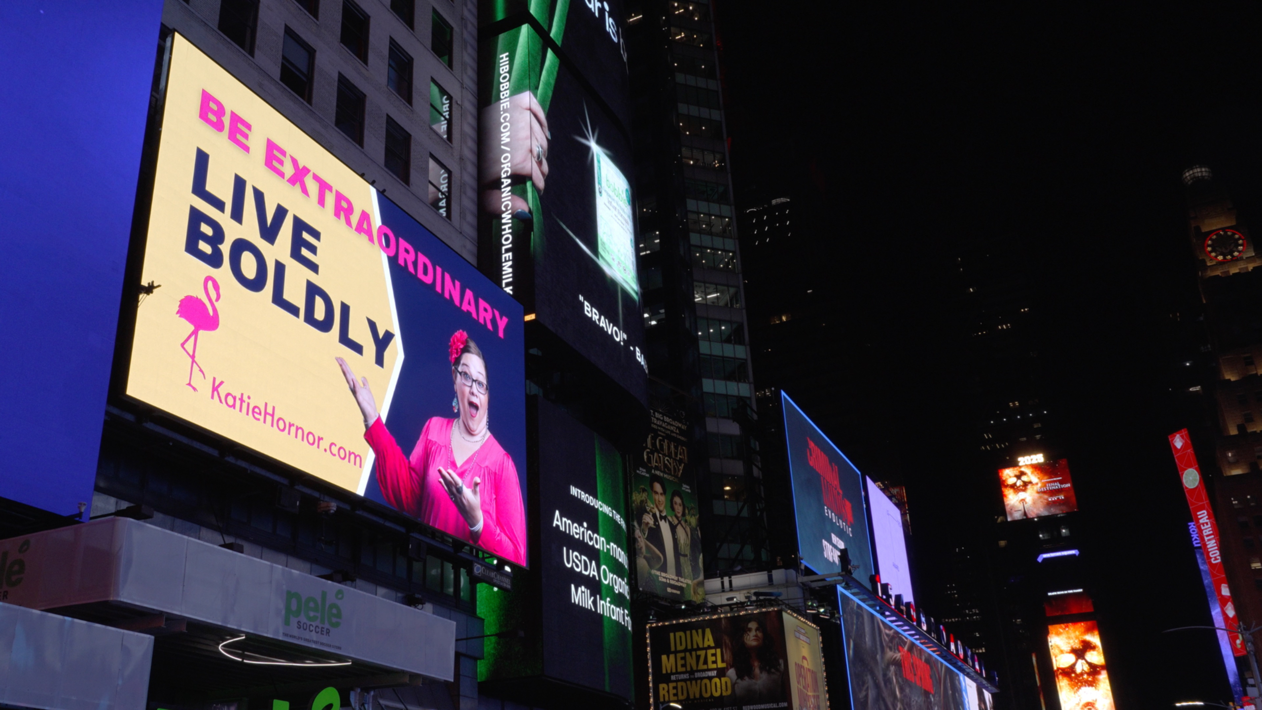 Katie Hornor's Billboard in NYC Time Square, April 2025