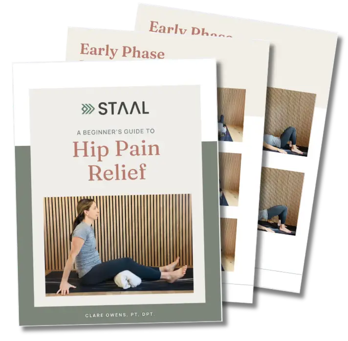 Fitness for seniors program at Staal Physical Therapy with Clare Owens free training guide