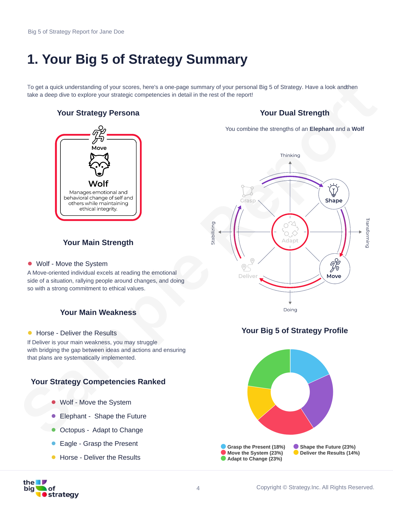 Sample page from a Big 5 of Strategy report: Strategy Persona, dual strength and competency ranking