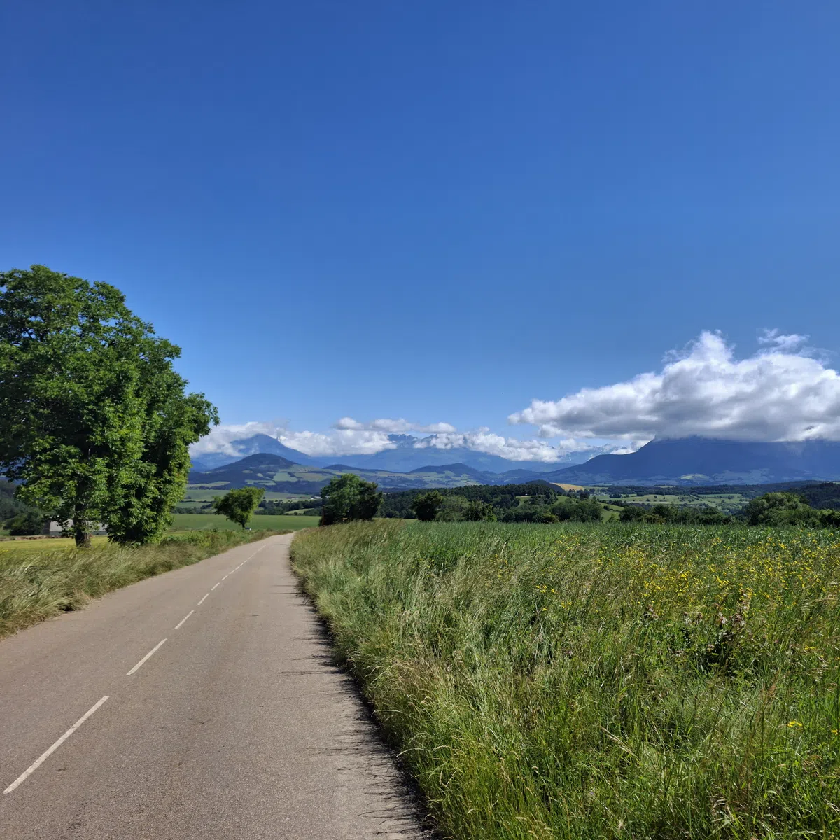 Een lange weg richting de bergen