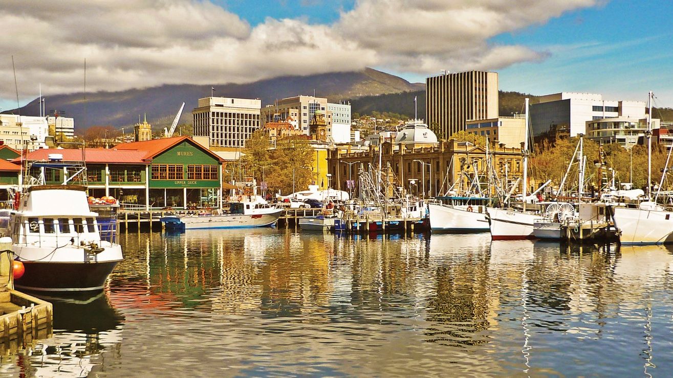 Best Digital Marketing Courses Invercargill