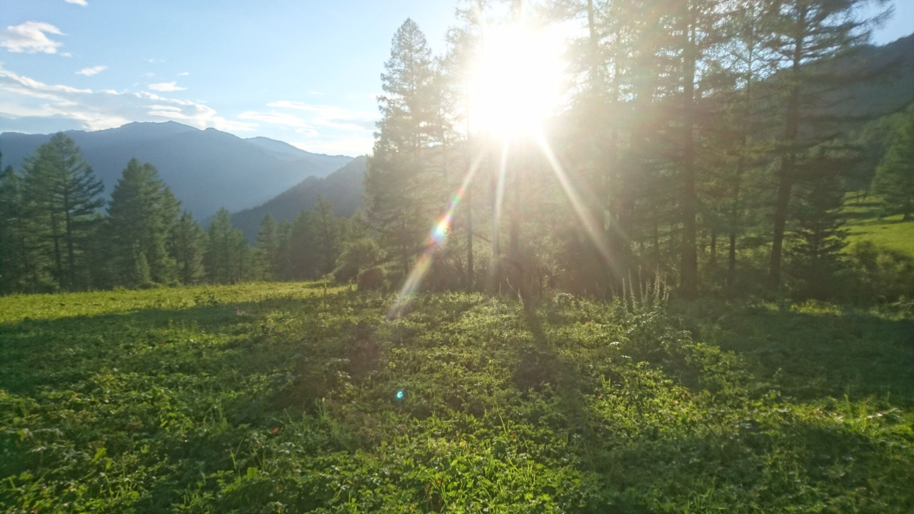 sleep problems, can’t sleep at night, nervous system and sleep, waking up at 2am, insomnia causes, cortisol at night, calming the nervous system